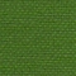 555 Light Green